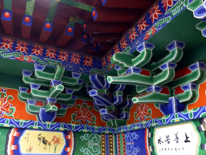 p1020469.jpg