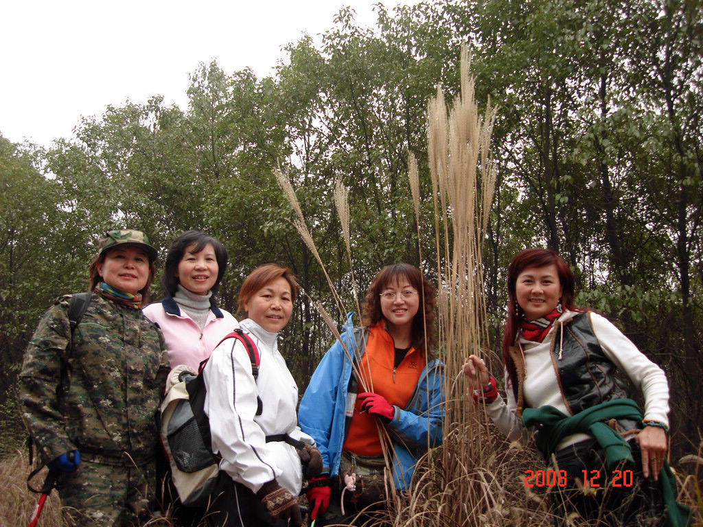 dsc07610.jpg