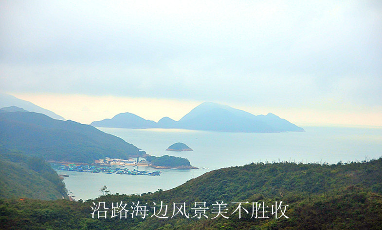 dsc_8557__.jpg