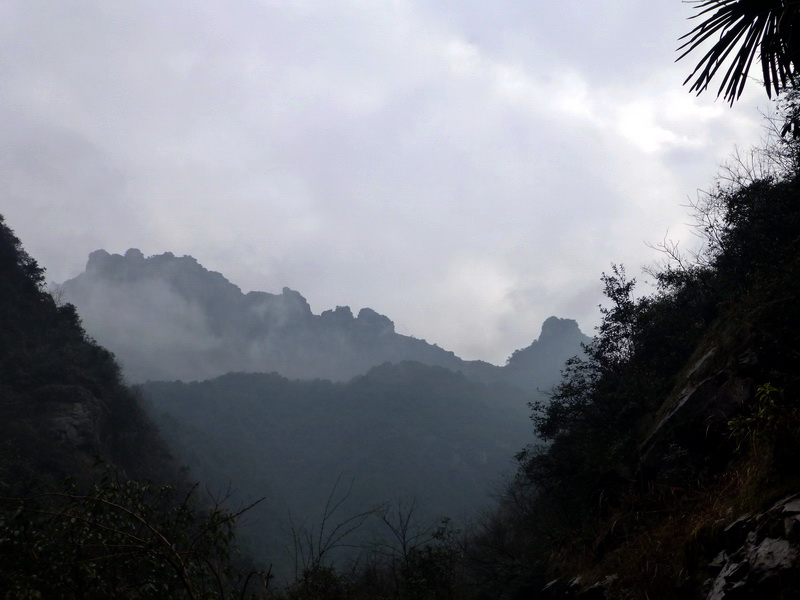 p1020506.jpg