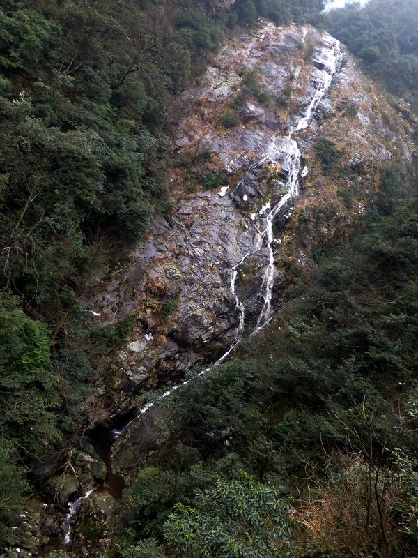 p1020510.jpg