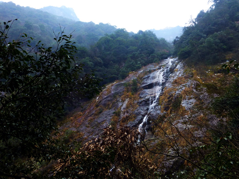 p1020514.jpg