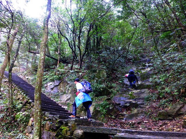 p1020515.jpg