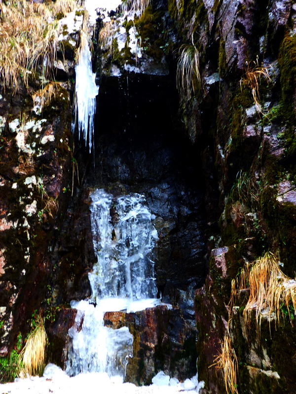 p1020543.jpg