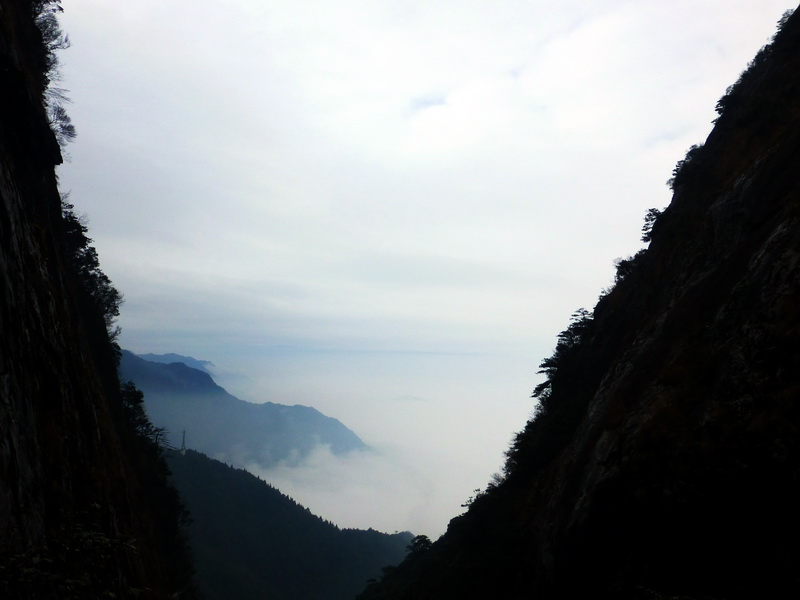 p1020546.jpg