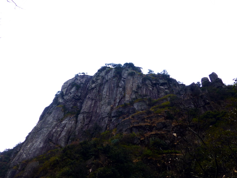p1020555.jpg