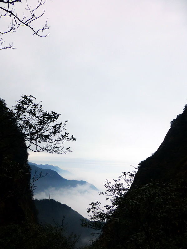 p1020556.jpg