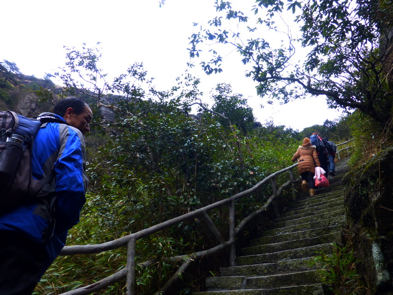 p1020559.jpg
