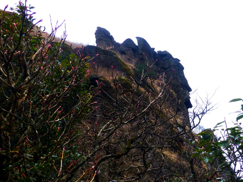 p1020566.jpg