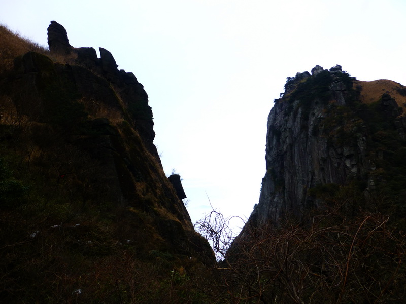 p1020567.jpg