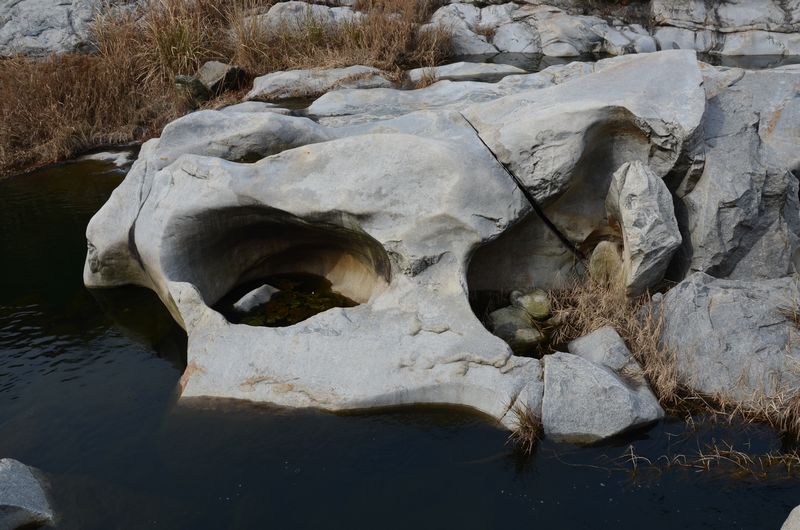 dsc_0055a.jpg