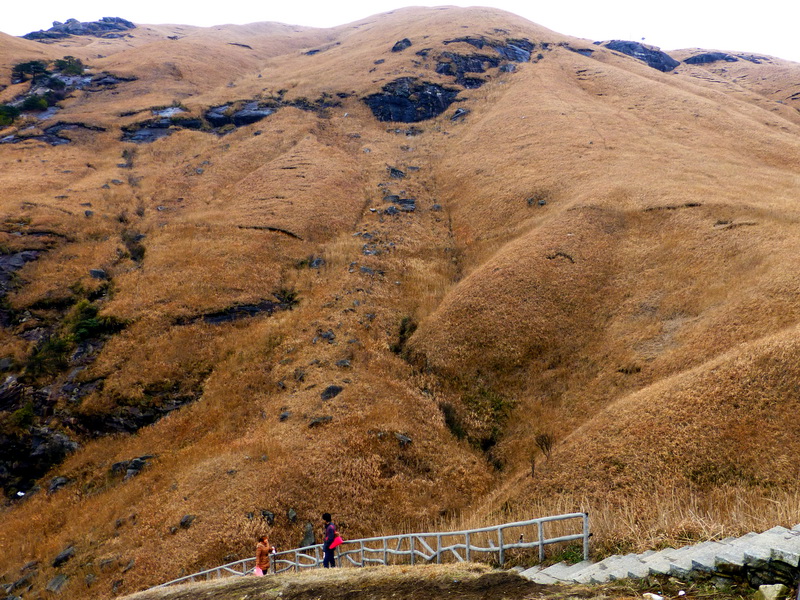 p1020576.jpg