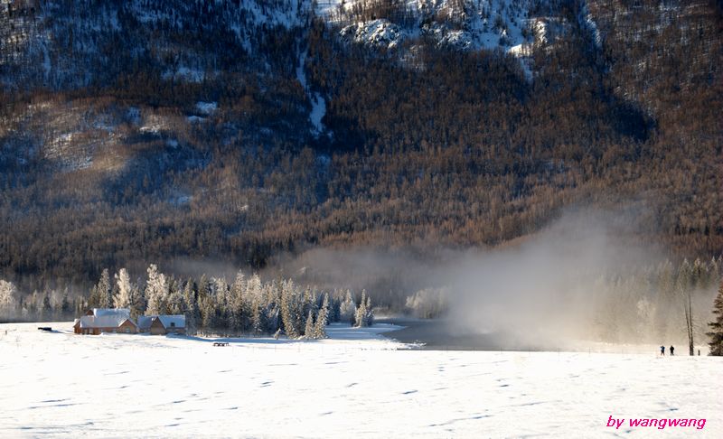 dsc_0114.jpg.1.jpg