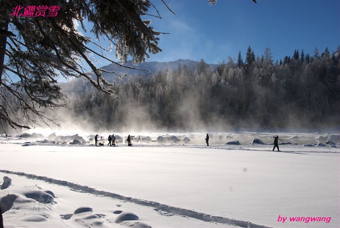 dsc_0212.jpg.1.jpg