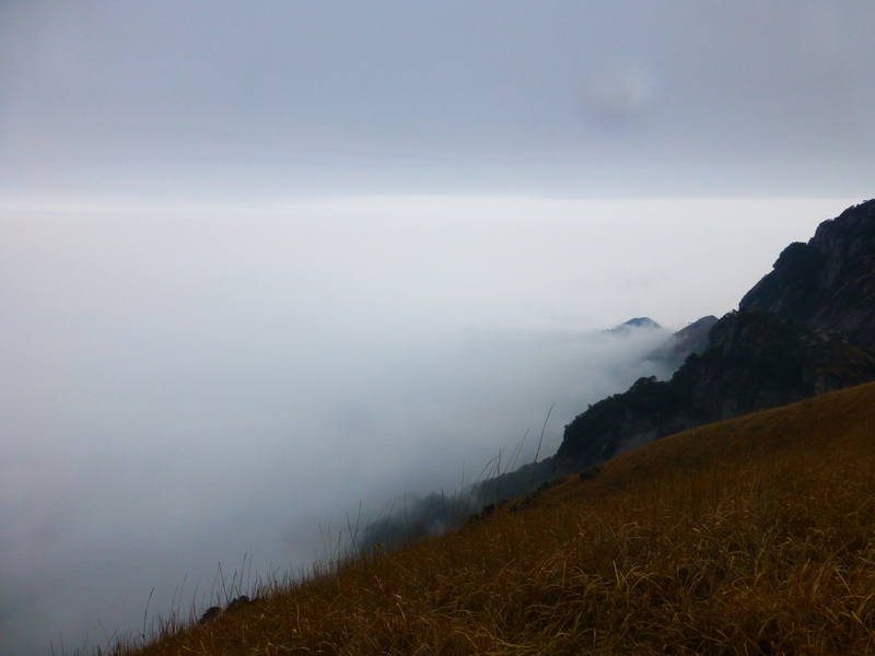 p1020598.jpg