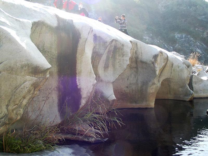 dscf0215_.jpg