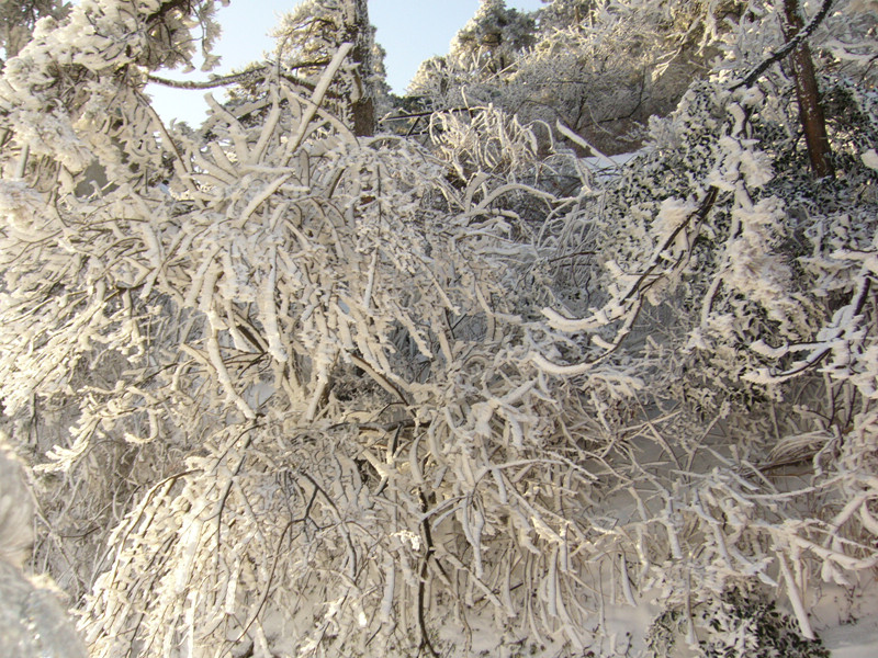 p1050033_.jpg