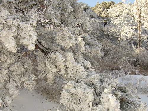 p1050034_.jpg