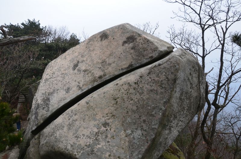 dsc_0223a.jpg