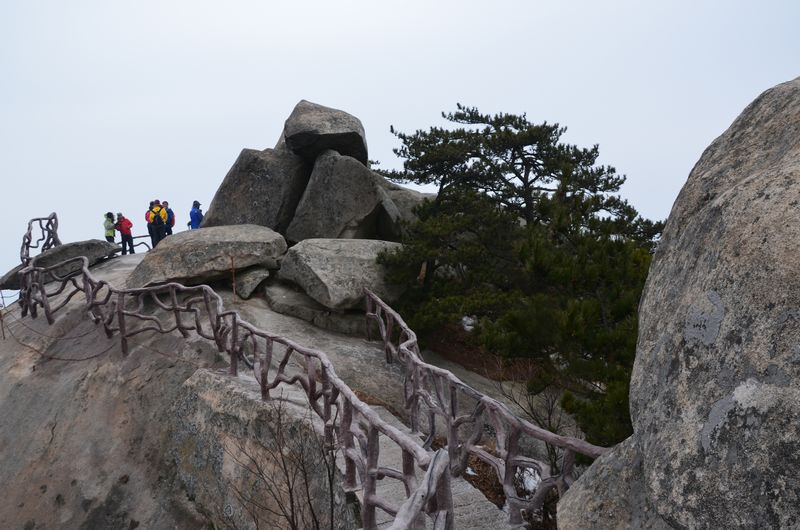 dsc_0231a.jpg