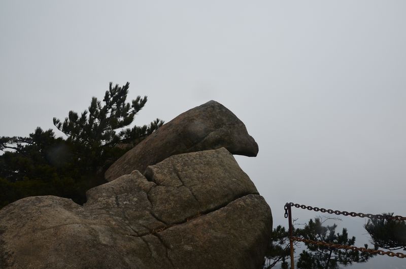 dsc_0207a.jpg