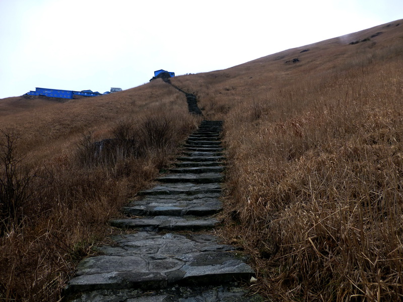 p1020634.jpg