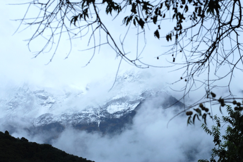 dsc_0646.jpg