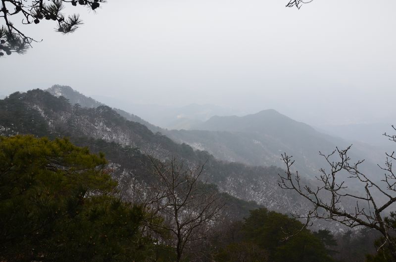 dsc_0199a.jpg