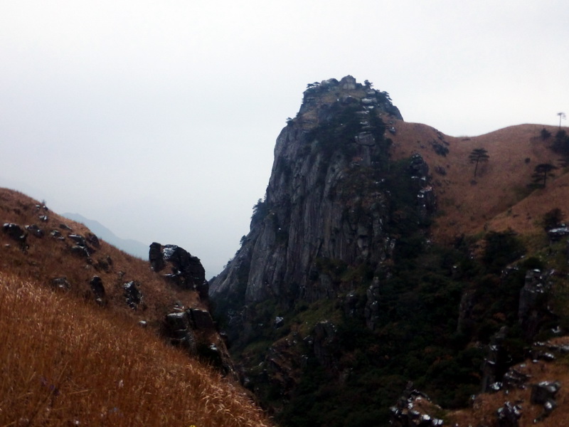p1020684.jpg