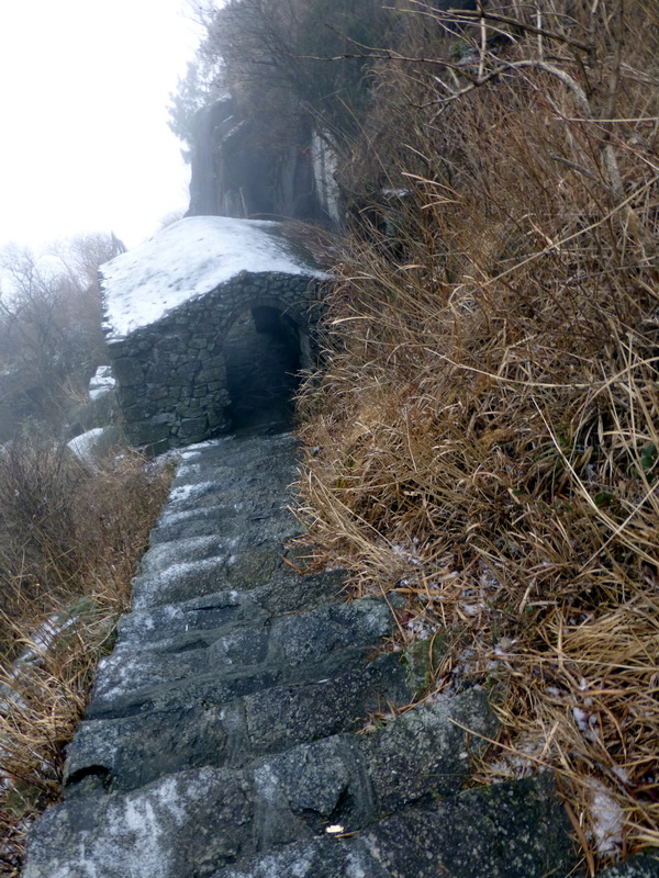 p1020700.jpg