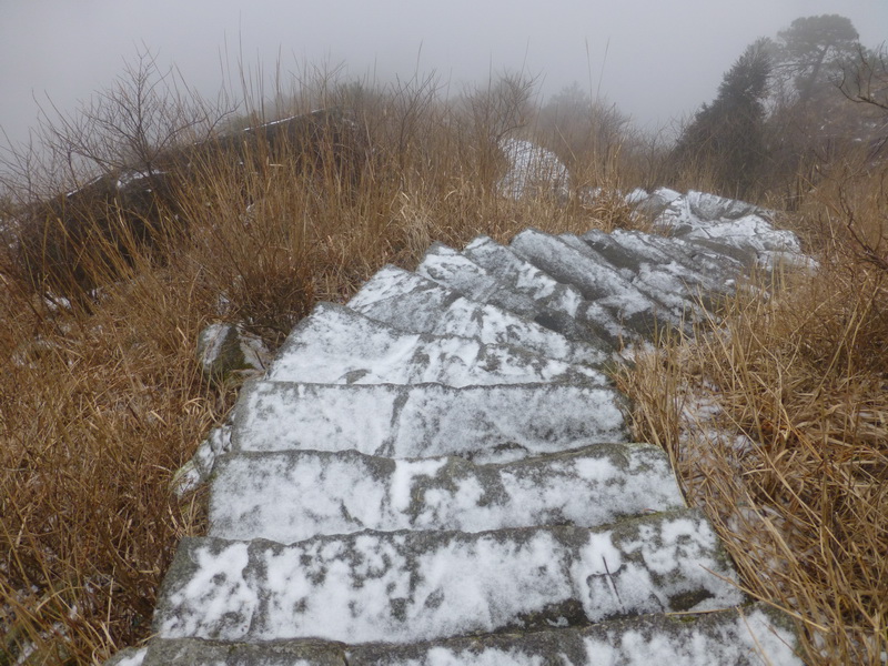 p1020699.jpg