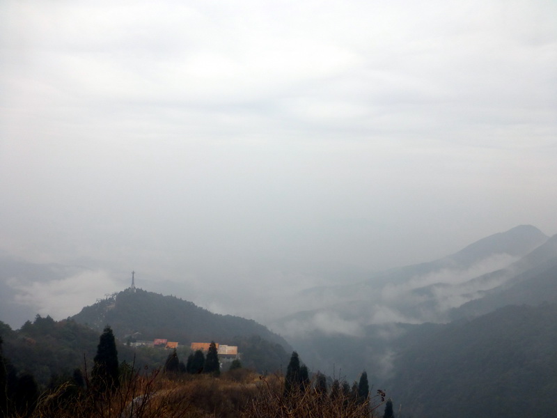 p1020706.jpg