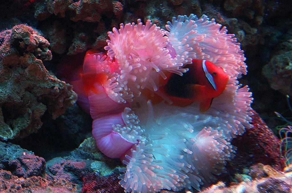 dsc08294.jpg