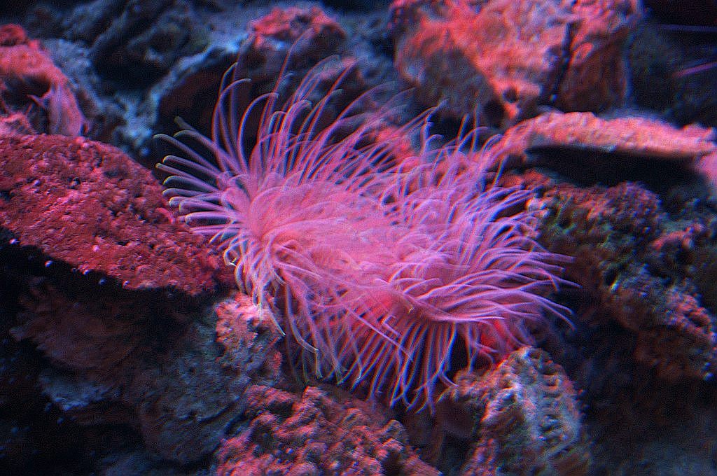 dsc08297.jpg