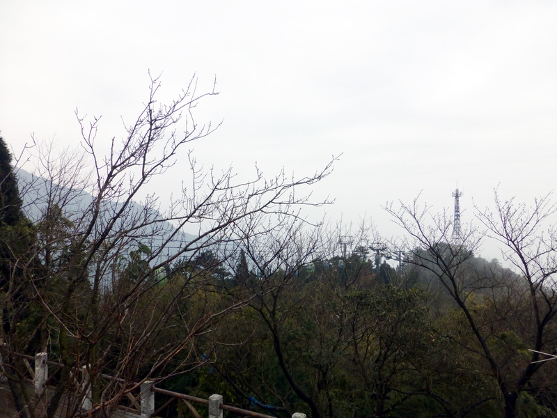 p1020719.jpg
