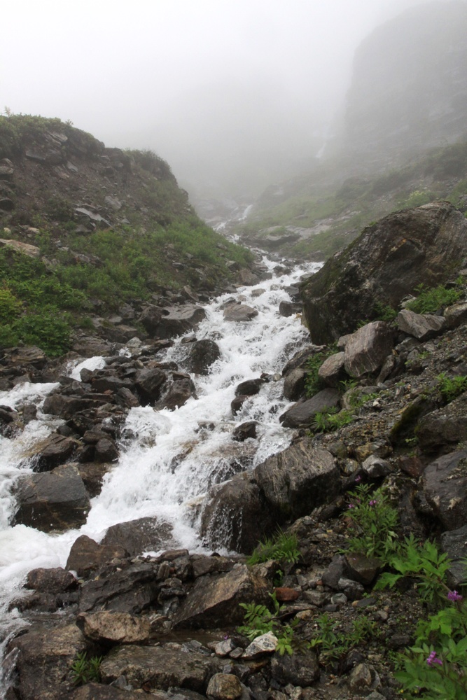 jpeg image (218621).jpg