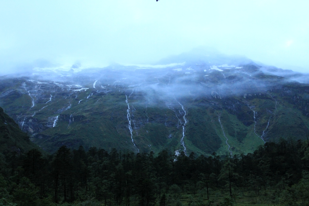 jpeg image (243125).jpg