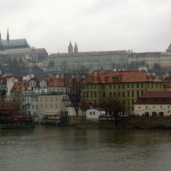 p1020429.jpg