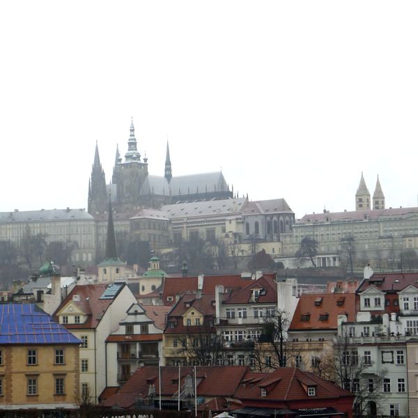 p1020430.jpg