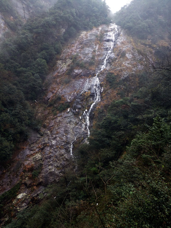 p1020751.jpg