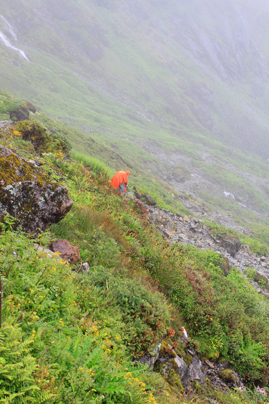 jpeg image (208044)_.jpg