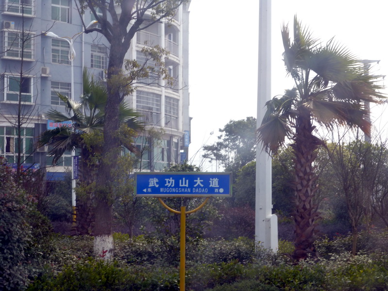 p1020802.jpg