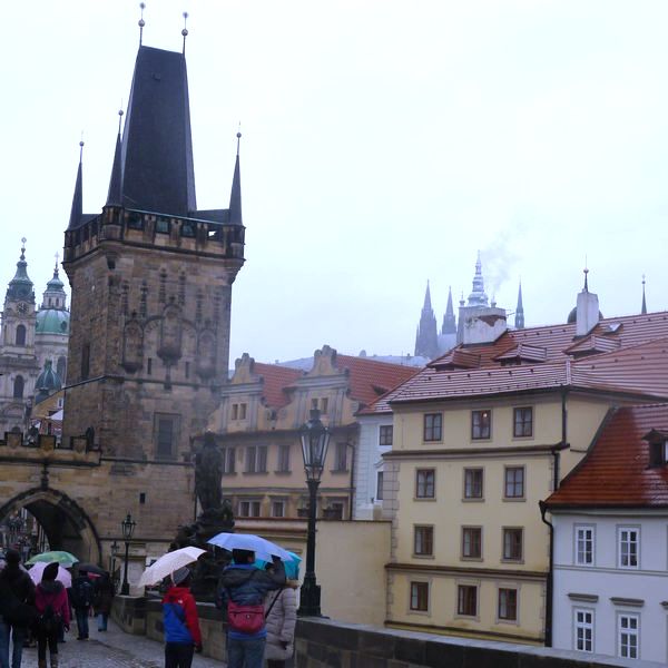 p1020433.jpg
