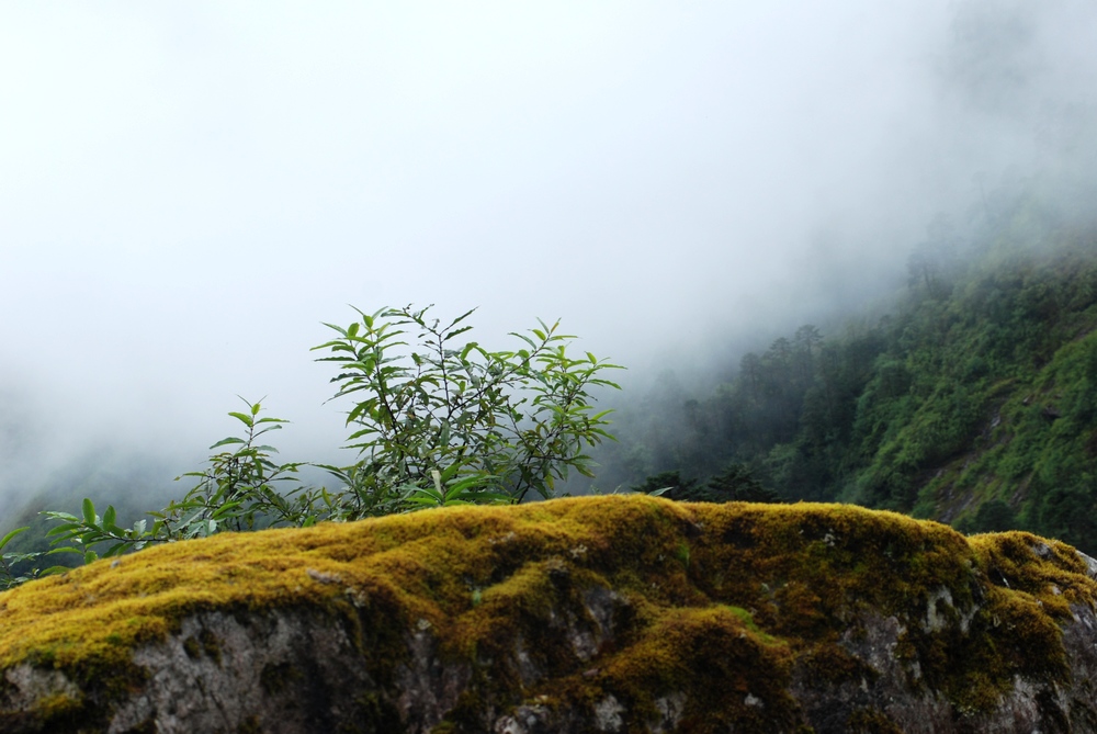 dsc_0770.jpg