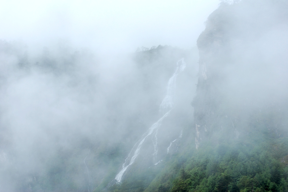 dsc_0771.jpg