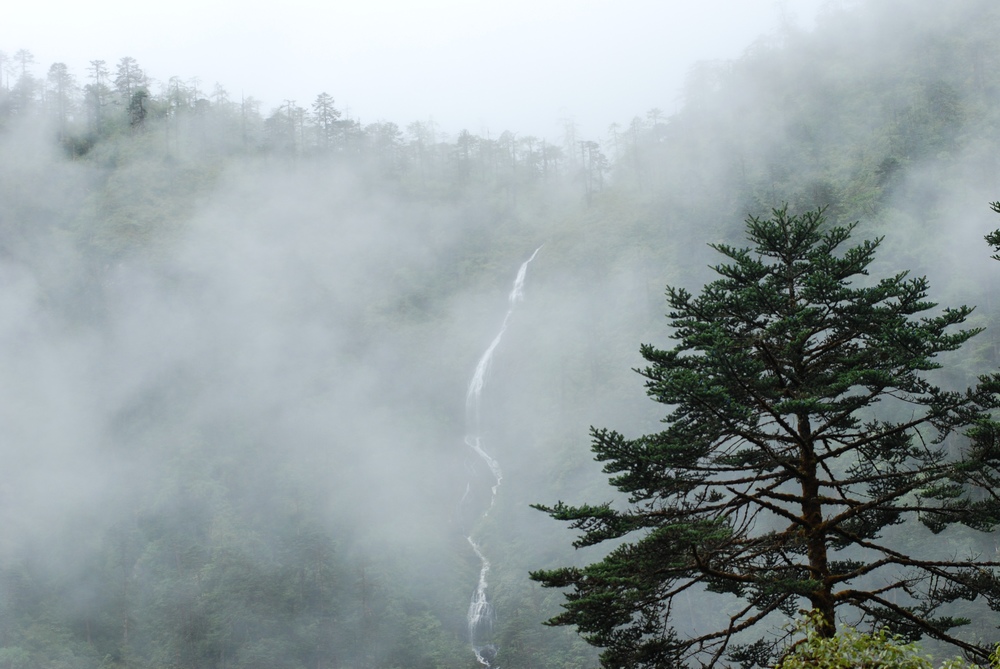 dsc_0772.jpg