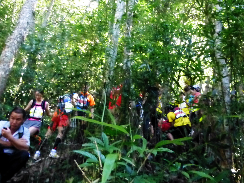 p1000694.jpg