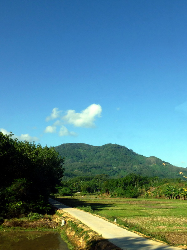 p1000782.jpg