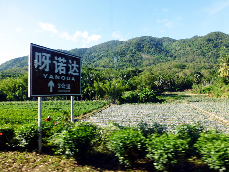 p1000787.jpg