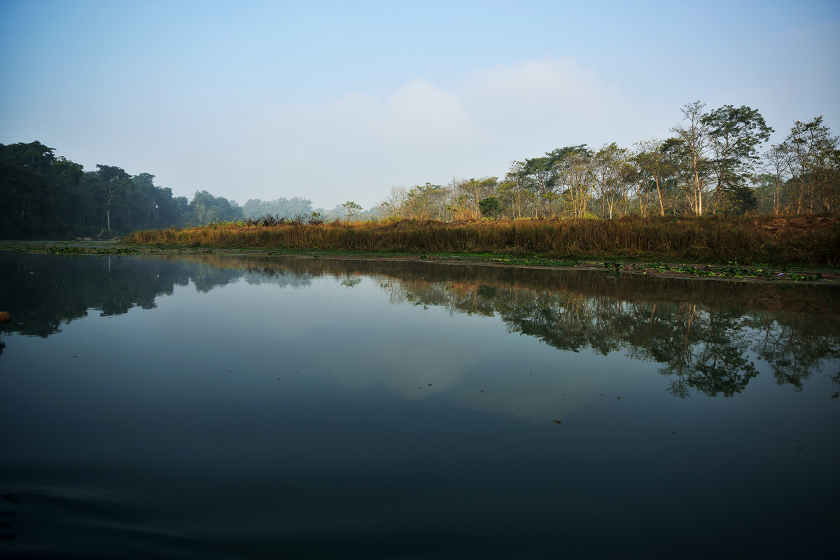 dsc_0764.jpg